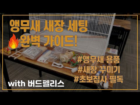 앵무새 새장 세팅 기본 가이드! #앵무새 #앵무새새장 #새장꾸미기