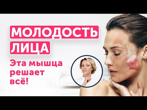 ОВАЛ ЛИЦА: ЭТА МЫШЦА РЕШАЕТ ВСЁ! Скрытая причина отёков и «брылей»