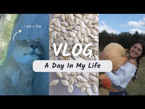a day in the life EP. 1