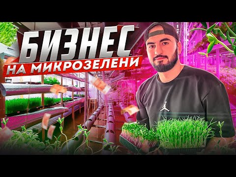How to Start a Microgreens Business from Scratch🌱 How to Open Your Own Microgreens Farm💵 Microgre...
