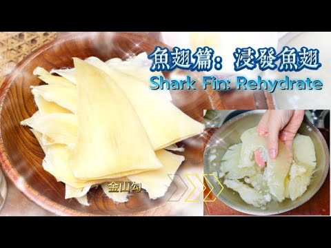 《家嘗別飯》鮑參翅肚篇 (魚翅篇) : 浸發 (魚翅買哪款？點樣攪？排翅散翅?) -新年有得食 【Dong Dong Kitchen】Shark Fin : Rehydrate