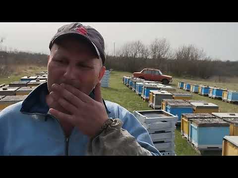 Себестоимость ульев и рентабельность пасеки. Ответы на вопросы.
