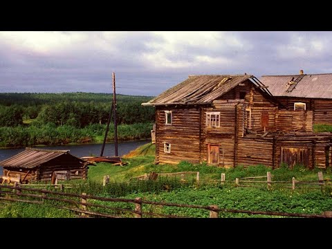 Моя Жизнь в Тайге - Медведи, Волки, Деревня. Первые Боровики. Рыбалка на ручье. Морошка, Иван Чай.
