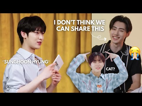 ENHYPEN being CHAOTIC during INTERVIEWS