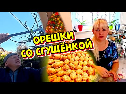 Vlog: Nuts with condensed milk, a childhood recipe. Pruning an apple tree in Germany. A new road ...