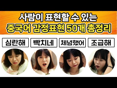 중국어로 생생한 감정표현 50개 총정리