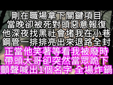 剛在職場拿下關鍵項目當晚卻被死對頭惡意報復他深夜找黑社會堵我在小巷鋼管一排排亮出來退路全封正當他笑著等看我被廢時帶頭大哥卻突然當眾跪下#心書時光 #為人處事 #生活經驗 #情感故事 #唯美频道 #爽文