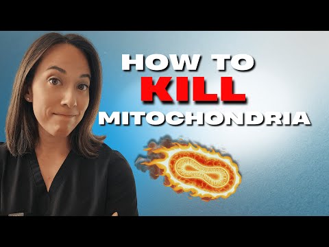 Dr Gives Reasons Why Your Mitochondria Are Getting Destroyed