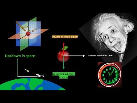 How Time Dilation Causes Gravity, and How Inertia Works