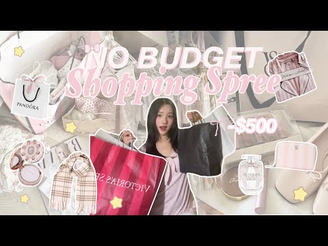 BLACK FRIDAY NO BUDGET Spending Spree 🧾⟡˖ ࣪ 🛒| $500 on Victoria secret, hollister, jellycats, etc