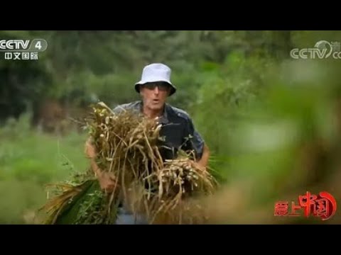 《爱上中国》 驻村第一书记和他的“洋助理” | CCTV中文国际  20191007