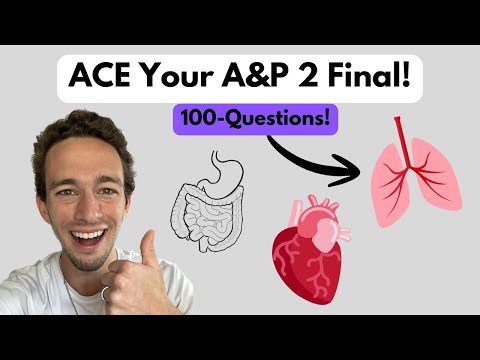 MASSIVE A&P 2 Final Exam Review - ACE Your Test!