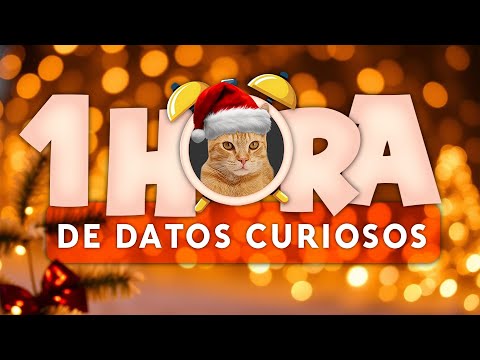 1 HORA de DATOS CURIOSOS y COSAS QUE NO SABÍAS ⏰😲