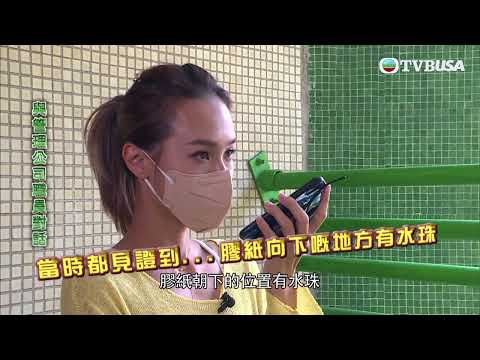 東張西望 | 廁所乾牆漏水如暴雨 原因離奇詭異