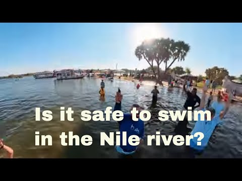 Are You Brave Enough to Swim in the Nile River?