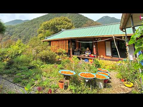 Drying Persimmons at Home 🍎 | Autumn Blooms, Harvest Preserving & Handcrafts | Rural Vlog