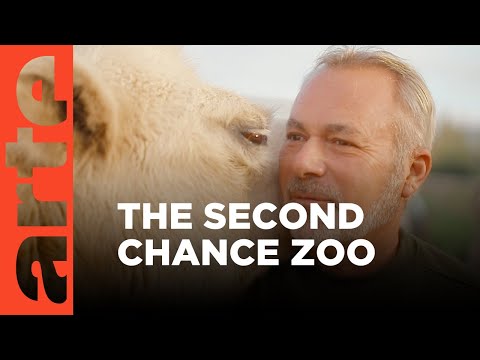 A Second Life for Mistreated Animals | ARTE.tv Documentary