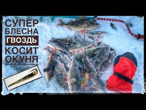 Зимняя рыбалка. Блесна ГВОЗДЬ. Ловля окуня со льда на блесну.