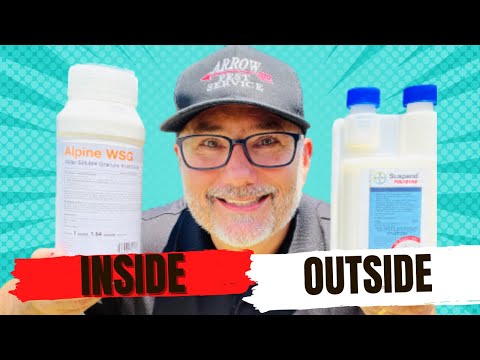 DIY Pest Spray That Works Like a Pro—No More Infestations!