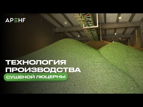 Технология производства сушеной люцерны