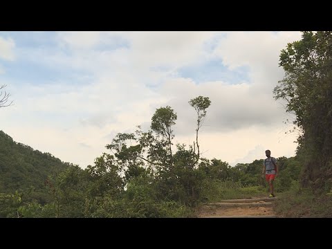 【杏林在線】慎防肌肉溶解