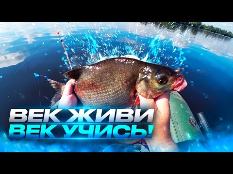 Век живи Век учись.Рыбалка на донки. Сamping ,fishing,bushcraft,