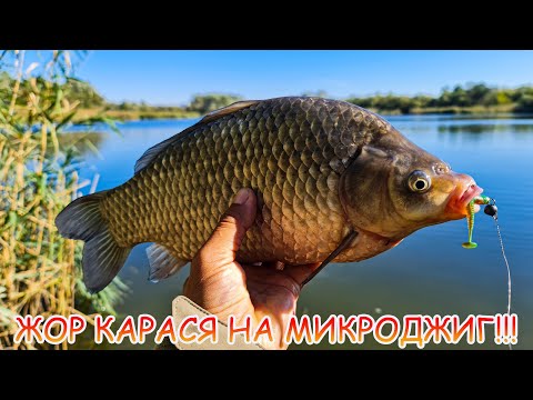 МИКРОДЖИГ. Спиннинг в дугу. ОКУНИ и КАРАСИ жрут приманки!!!
