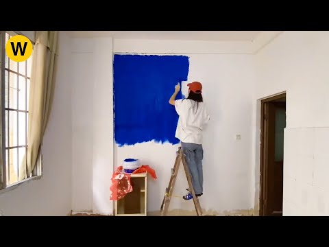 The girl renovates and upgrads the old the newly rented apartment with the total price of $230