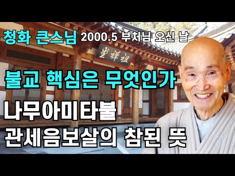 불교의 핵심 진여불성 귀신과 나찰이 두려워하는 나무아미타불 관세음보살의 참된 뜻 | 석가모니 부처님의 전생 | 청화스님 법문 20000511 부처님 오신 날
