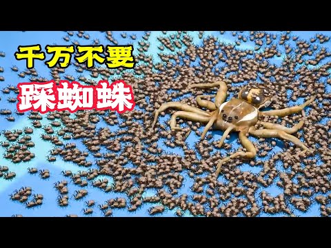 男人踩蜘蛛,竟爆出上百隻小蜘蛛,這下大攤事了!科普動畫《別踩蜘蛛》。科普,電影,短片,成精,解說,搞笑,動畫,喜劇,獵奇,奇幻,腦洞,科幻,超能力,short film