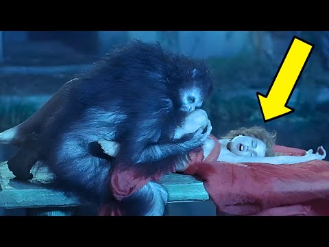 Bram Stoker’s Dracula (1992) 20 Weird and Surprising Facts You Didn’t Know!