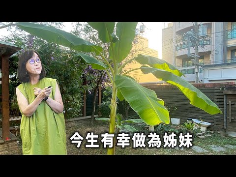 今生有幸做了姊妹：陪二姊走完抗癌三年｜親情故事