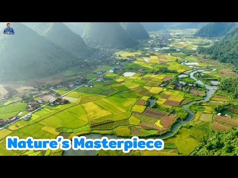 Why Vietnam’s Rice Terraces Are Among the World’s Most Beautiful | 2026 Guide
