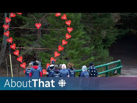 Key moments from the Nova Scotia Mass Casualty Commission | About That