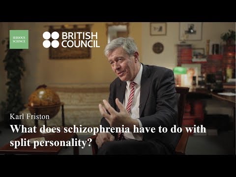 Dysconnection Hypothesis of Schizophrenia Karl Friston