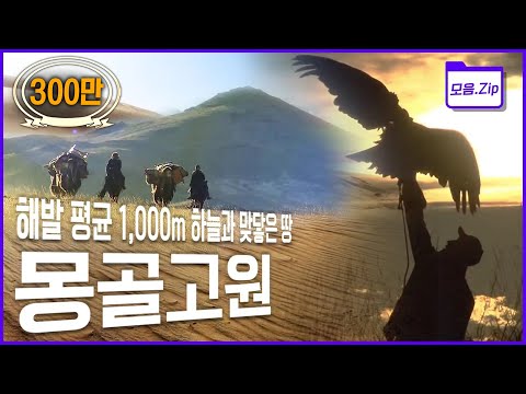 [명작다큐🎖️몰아보기] 고산지대, 사막, 타이가, 초원지대.. 척박한 환경과 무수한 생명을 모두 품은 땅, 몽골고원의 모든 것 | 몽골고원 4부작 | KBS 2014년 방송