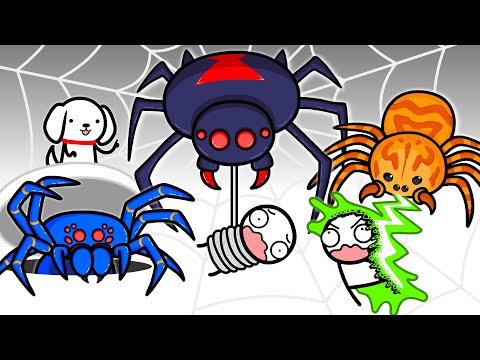 What It's Like To Fight The Deadliest Spiders (Part 1)