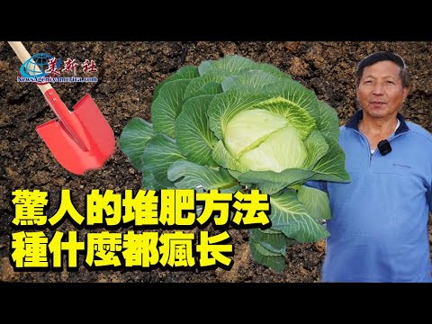 Amazing composting method, make everything grows like crazy