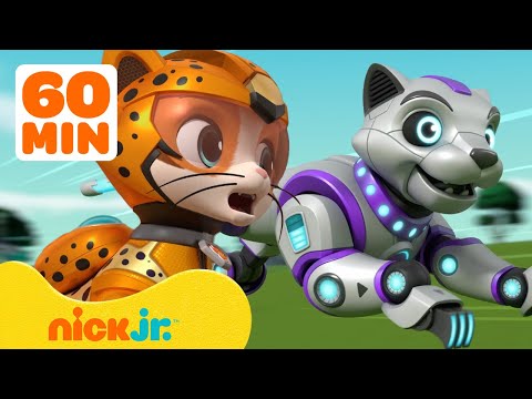 PAW Patrol & Cat Pack vs. Robot Cat Meow-Meow w/ Chase & Robo-Dog | 1 Hour Compilation | Nick Jr.