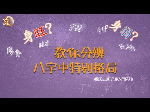 觀天之道   我不是身旺又不是身弱