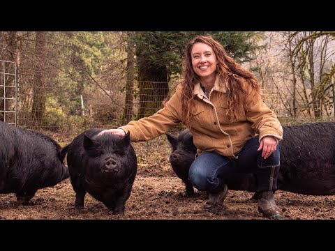 How We Raise A Year's Worth of Meat & Never Buy Meat from the Grocery Store Again