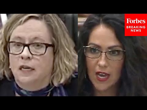 Lauren Boebert Grills Biden-Era Former ICE Legal Advisor About Actions During Previous Admin.