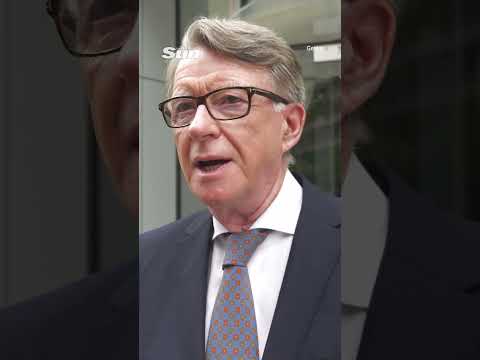 Lord Mandelson tried to organise tour of Downing Street for model at Epstein’s request