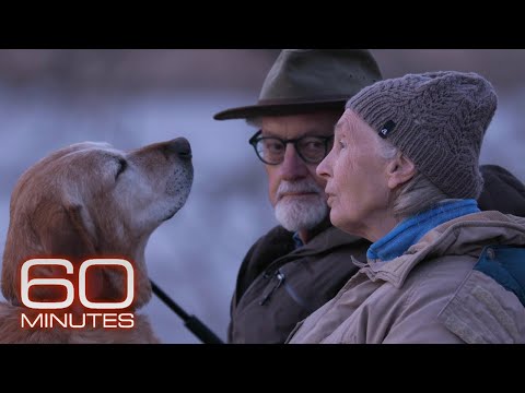 Jane Goodall and Tom Mangelsen | 60 Minutes Archive
