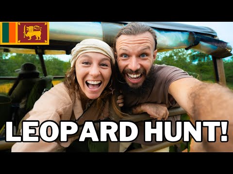 Safari in Sri Lanka, Is It Worth It? 🇱🇰