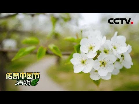 《2019传奇中国节·清明》 领略祖国的壮美山河 感受大自然赐予的力量 20190405 | CCTV中文国际