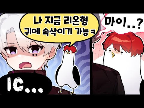 귀에 속삭여주는 ASMR 갈매기
