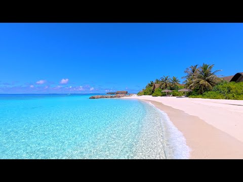 ๐ Beach View: 12 Hours of Maldives Ambience & Soft Ocean Sounds