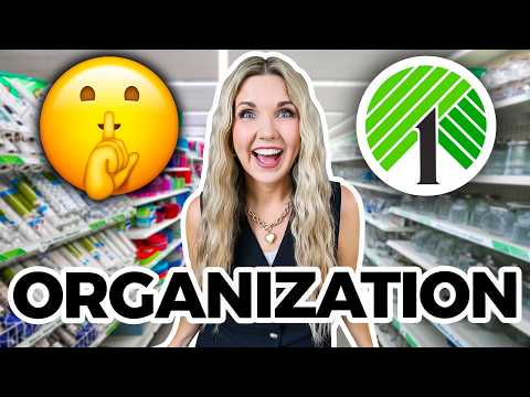 Organize your ENTIRE house with Dollar Tree items!