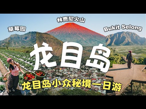龙目岛小众秘境一日游：林贾尼火山日出、Bukit Selong稻田、秘境草莓园！在地美食+超美民宿推荐